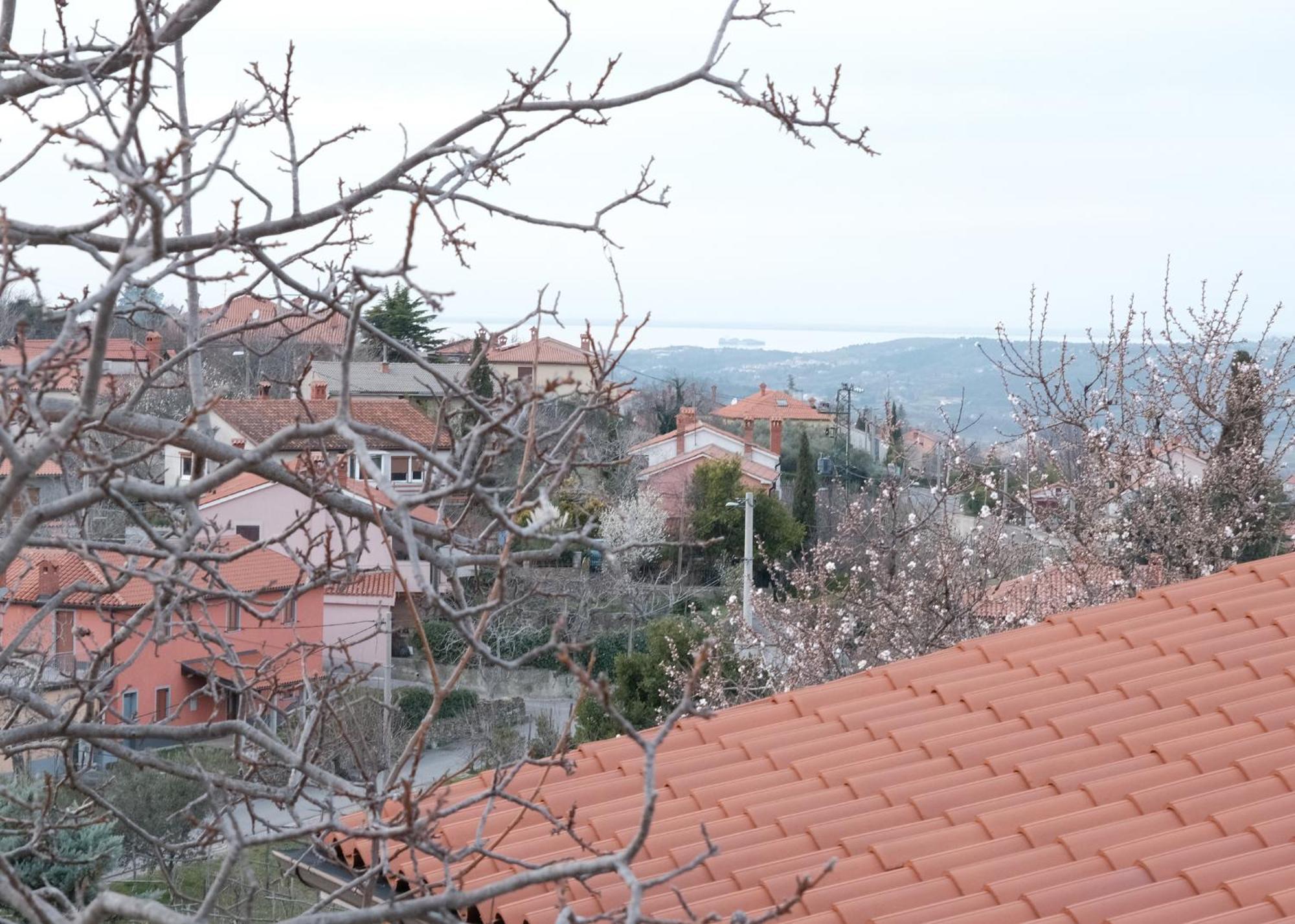 Apartma Nika Pobegi Exterior foto